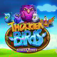 Power_Zones_Thunder_Birds